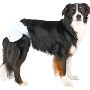 Trixie Sauskelnės kalėms, XL 40-58 cm, 12 vnt.