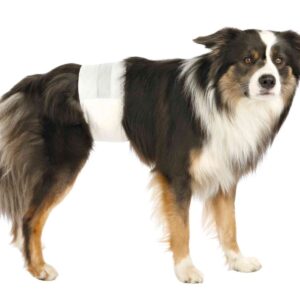 Trixie Sauskelnės patinams, M-L 46-60 cm, 12 vnt.