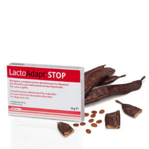 DOGOTEKA LactoAdapt STOP 6 tabl.