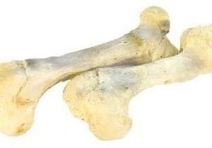 Džiovinti Jaučio kaulai balti dideli (2vnt)