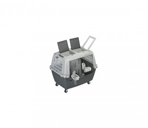 Narvas transportuoti Gulliver 80x58