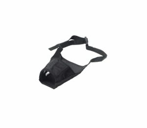 Antsnukis sint. N1 3756.1