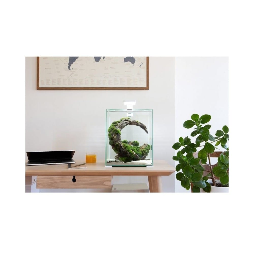 Aquael Shrimp Set Smart Day&Night 30 White akvariumas su įranga krevetėms 30 l 3 Aquael Shrimp Set Smart Day&Night 30 White akvariumas su įranga krevetėms 30 l - Image 3