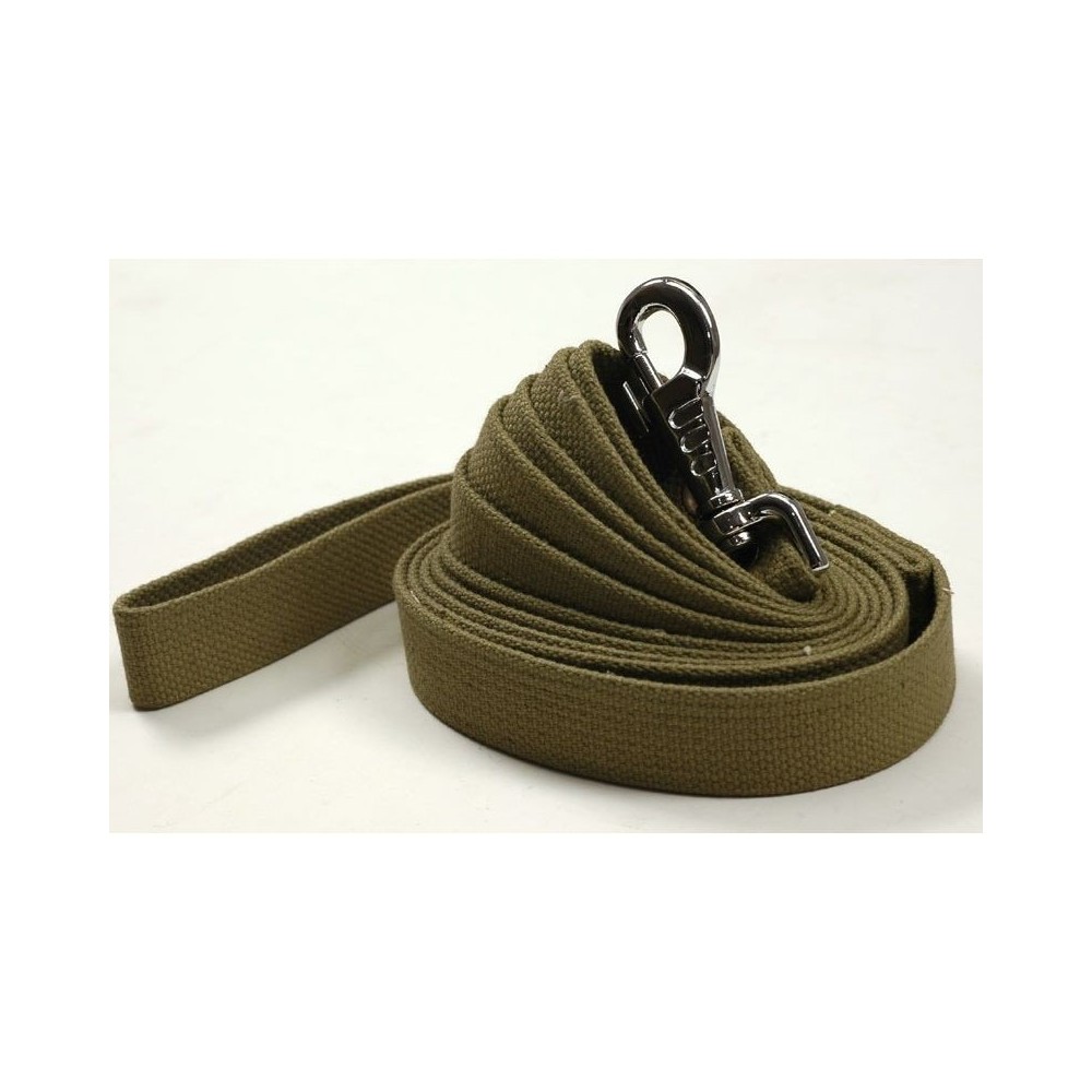 Brezentinis pavadėlis 3 m