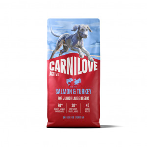 CARNILOVE ACTIVE Dog Salmon & Turkey Junior Large Breeds sausas pašaras jauniems šunims 12 kg