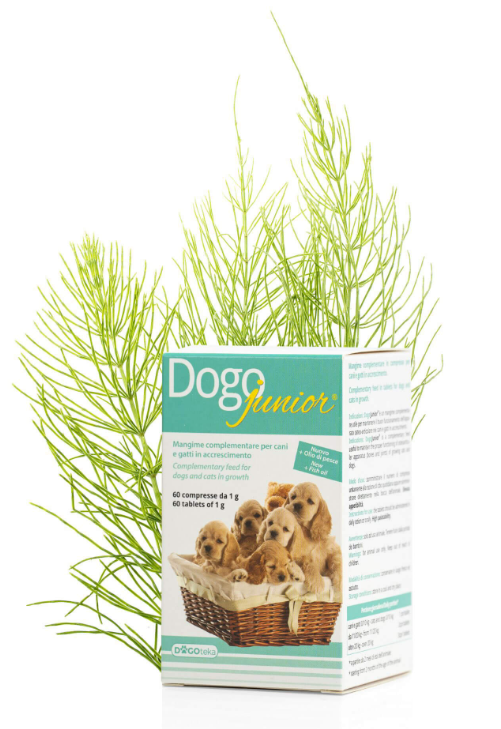 DOGOTEKA DOGOjunior 60 tabl.