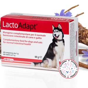 DOGOTEKA LactoAdapt 60 tabl.