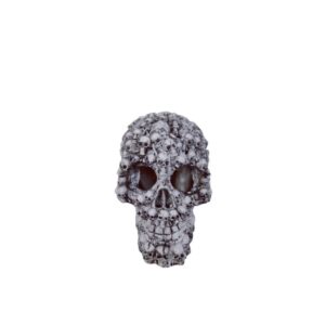 Dekoracija akvariumui Kaukolė