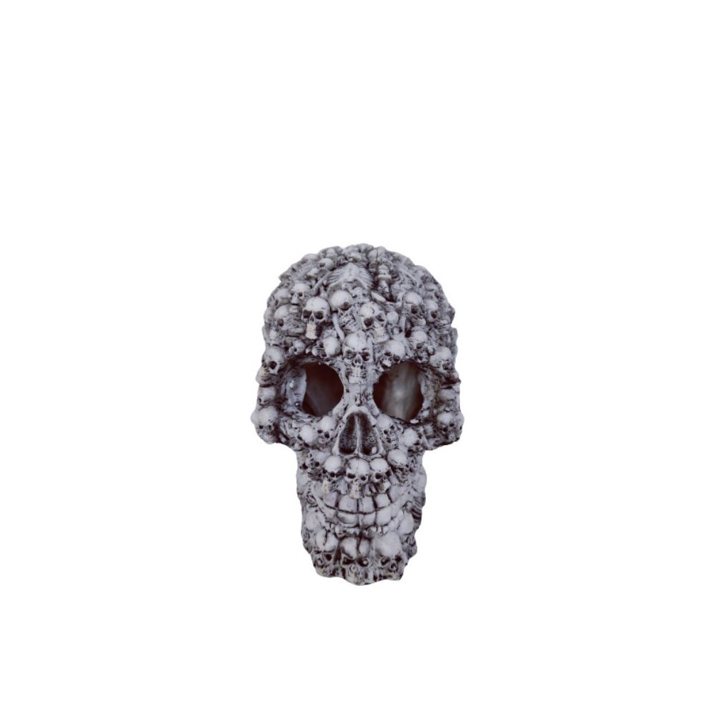 Dekoracija akvariumui Kaukolė