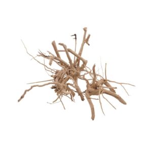 Dekoracija akvariumui šaka 10-30 cm