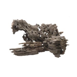 Dekoracija akvariumui šaka 30-40 cm