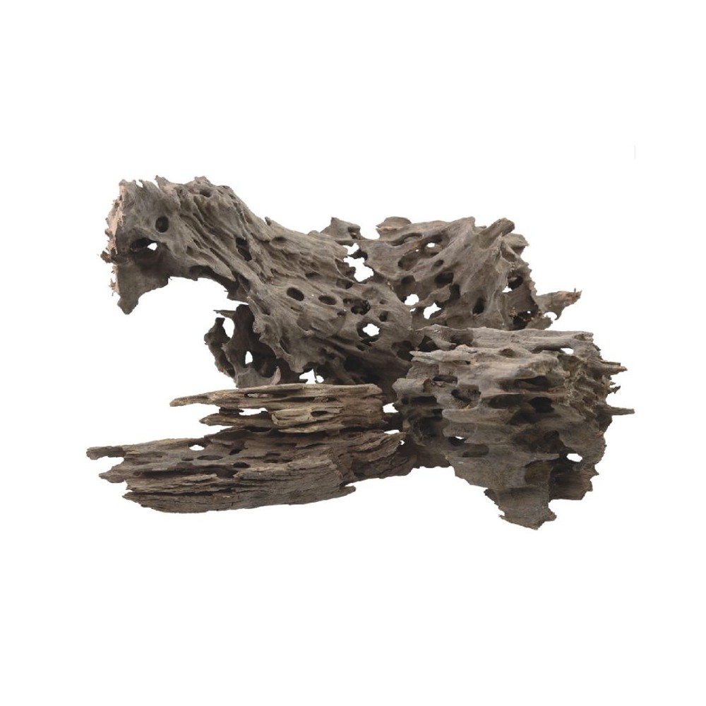 Dekoracija akvariumui šaka 30-40 cm
