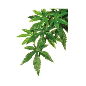 Dekoracija terariumams dirbtinis augalas Exoterra Ficus