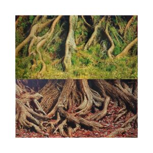 Fonas-plėvelė dvipusė 15 m