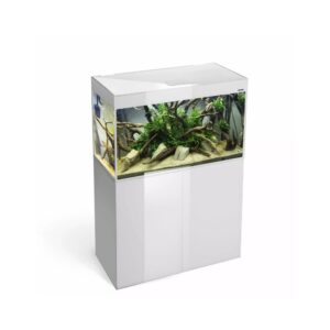 Glossy 100 akvariumas stačiakampis