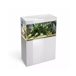Glossy 80 akvariumas stačiakampis