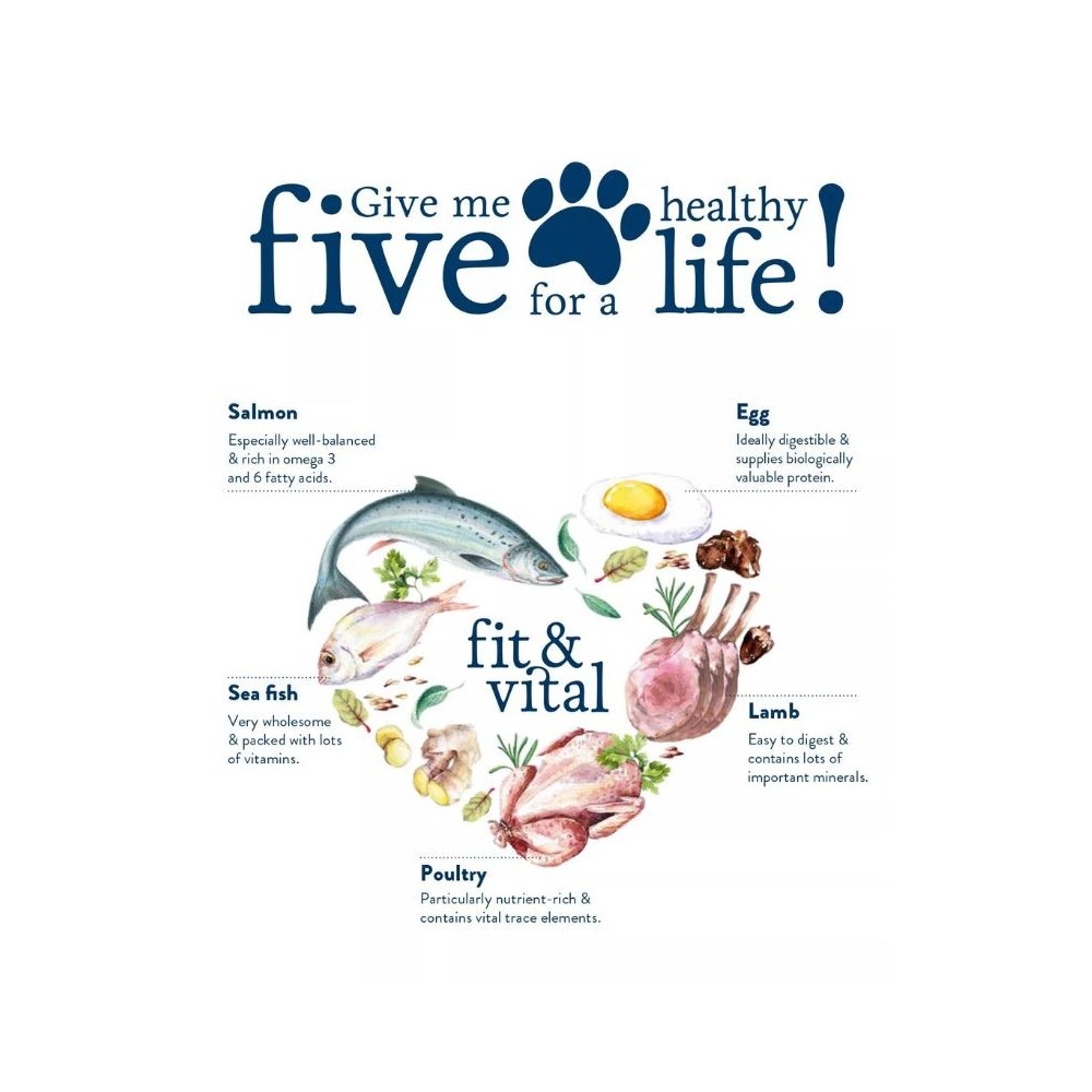 Happy Dog Mini Senior visavertis pašaras mažų veislių seniems šunims, 4 kg - Image 3