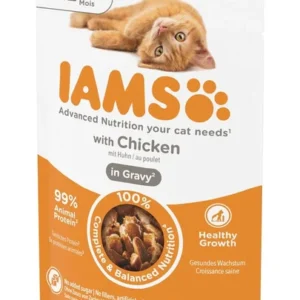 IAMS Kitten (chicken)