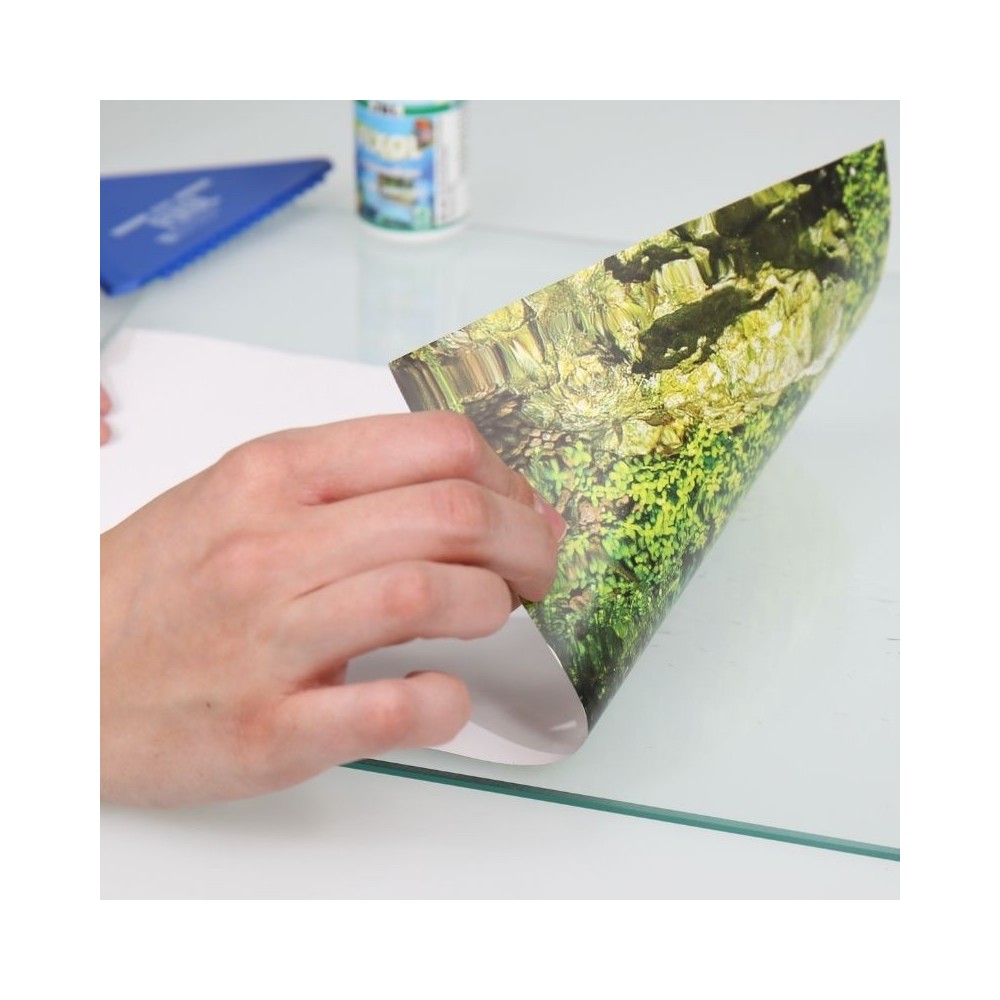 JBL Fixol klijai akvariumo dekoratyvinio fono priklijavimui 50 ml - Image 8