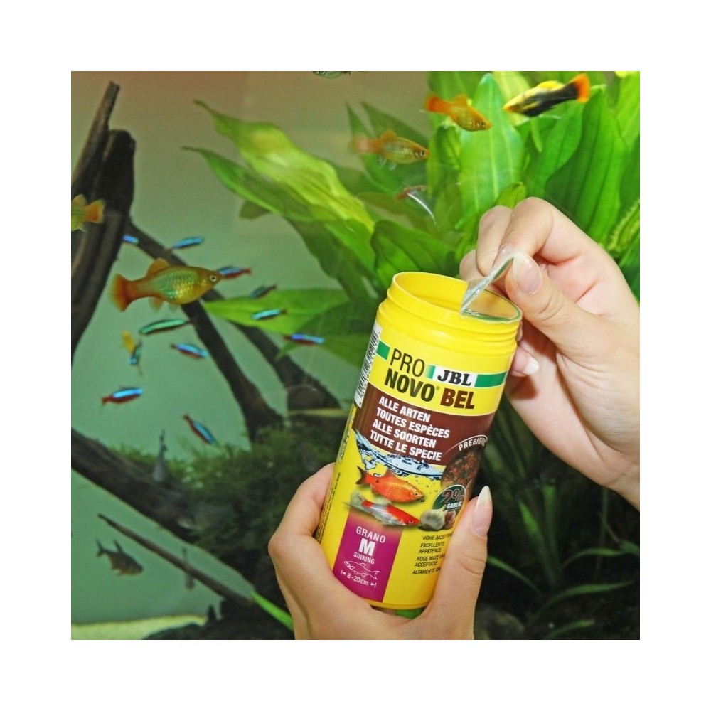 JBL ProNovo Bel Grano M universalus pašaras žuvims 250 ml (click) - Image 2