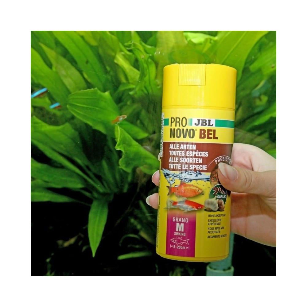 JBL ProNovo Bel Grano M universalus pašaras žuvims 250 ml (click) - Image 3
