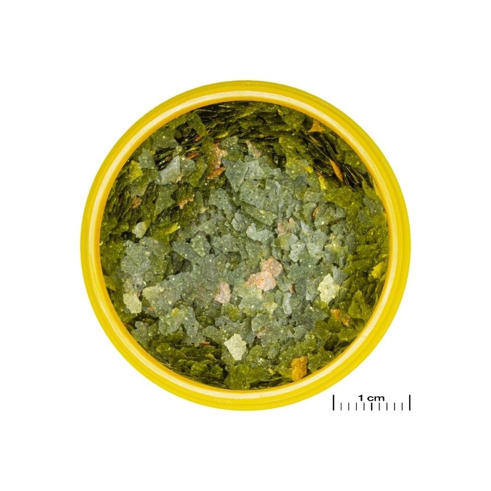 JBL ProNovo Guppy Flakes S pašaras gupijoms 250 ml - Image 2