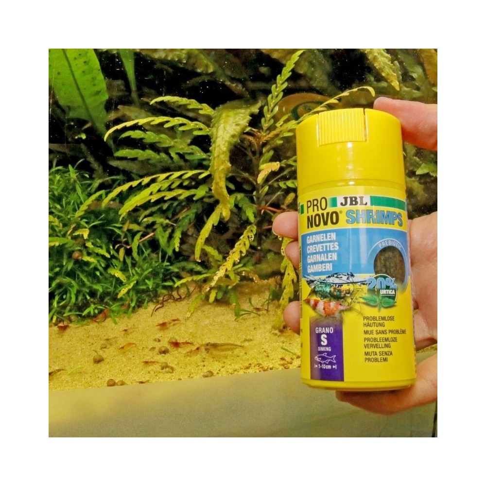 JBL ProNovo Shrimps Grano S pašaras krevetėms 100 ml (click) - Image 5