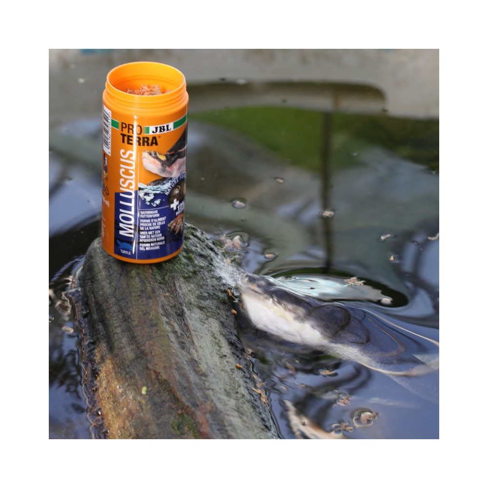 JBL ProTerra pašaras vėžliams Molluscus, 250 ml - Image 4