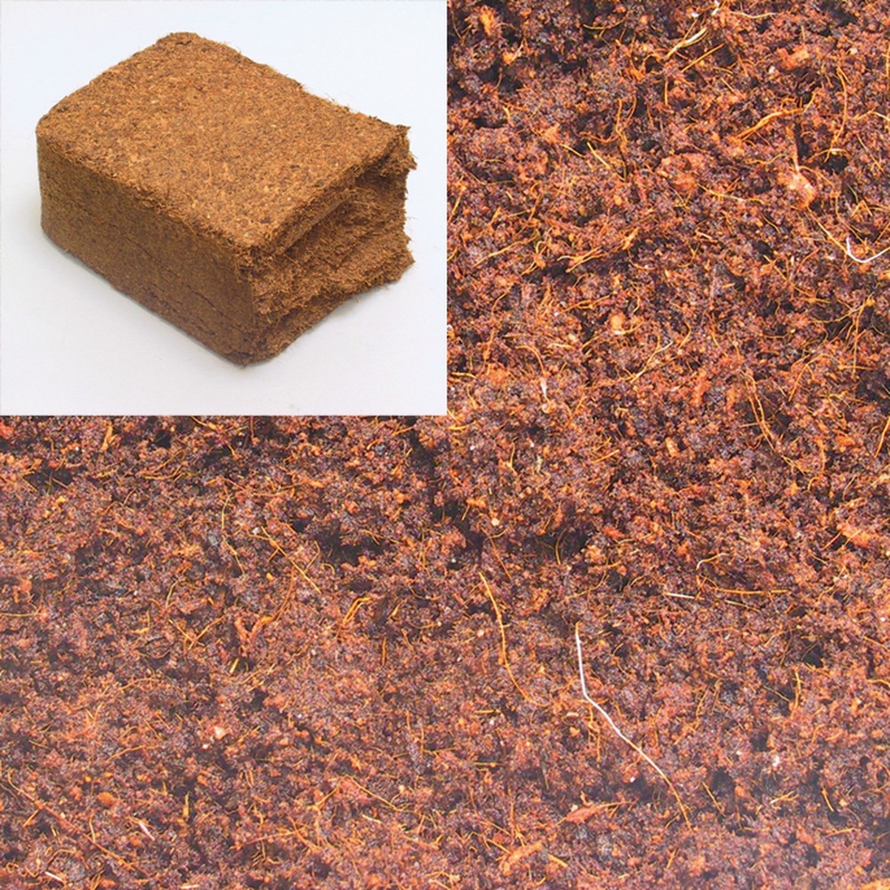 JBL TerraCoco Compact kokoso plaušų substratas 450 g (5 l) - Image 3