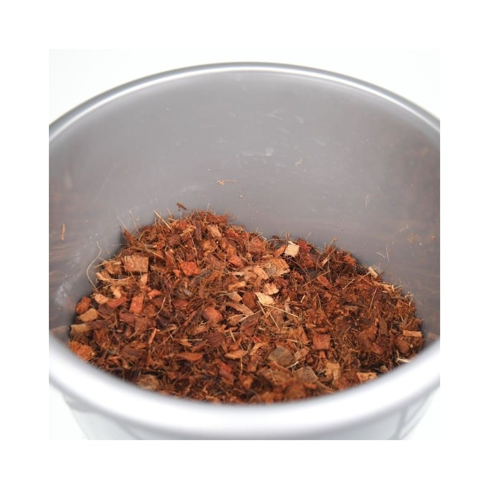 JBL TerraCoco Compact kokoso plaušų substratas 450 g (5 l) - Image 7