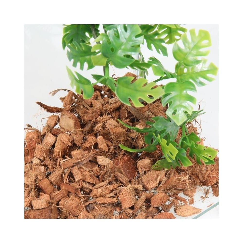 JBL TerraCoco substratas terariumams 5 l - Image 5