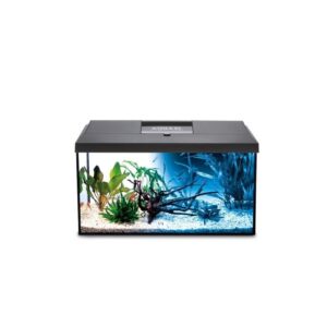 Leddy Set Day&Night 40 akvariumas stačiakampis su įranga