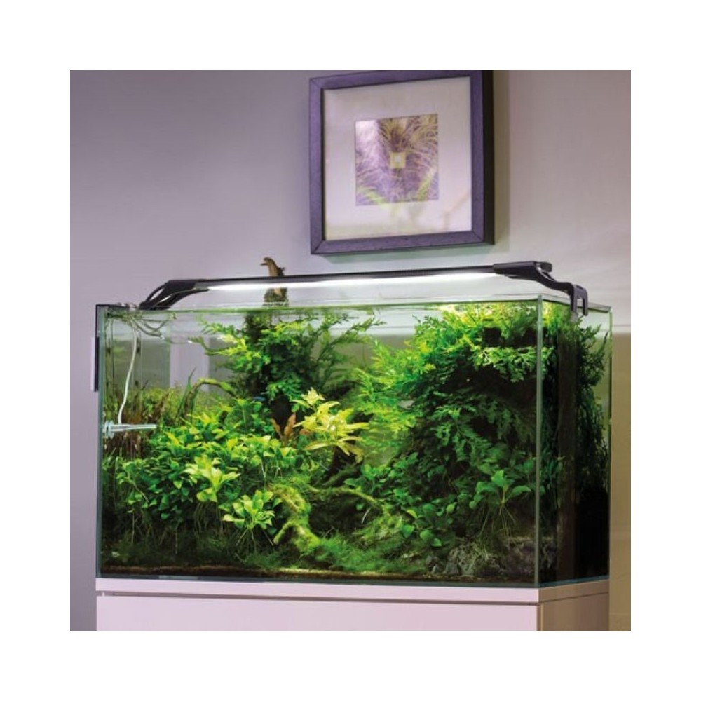 Leddy Slim Plant, 36 W, 100-127 cm, baltas - Image 5