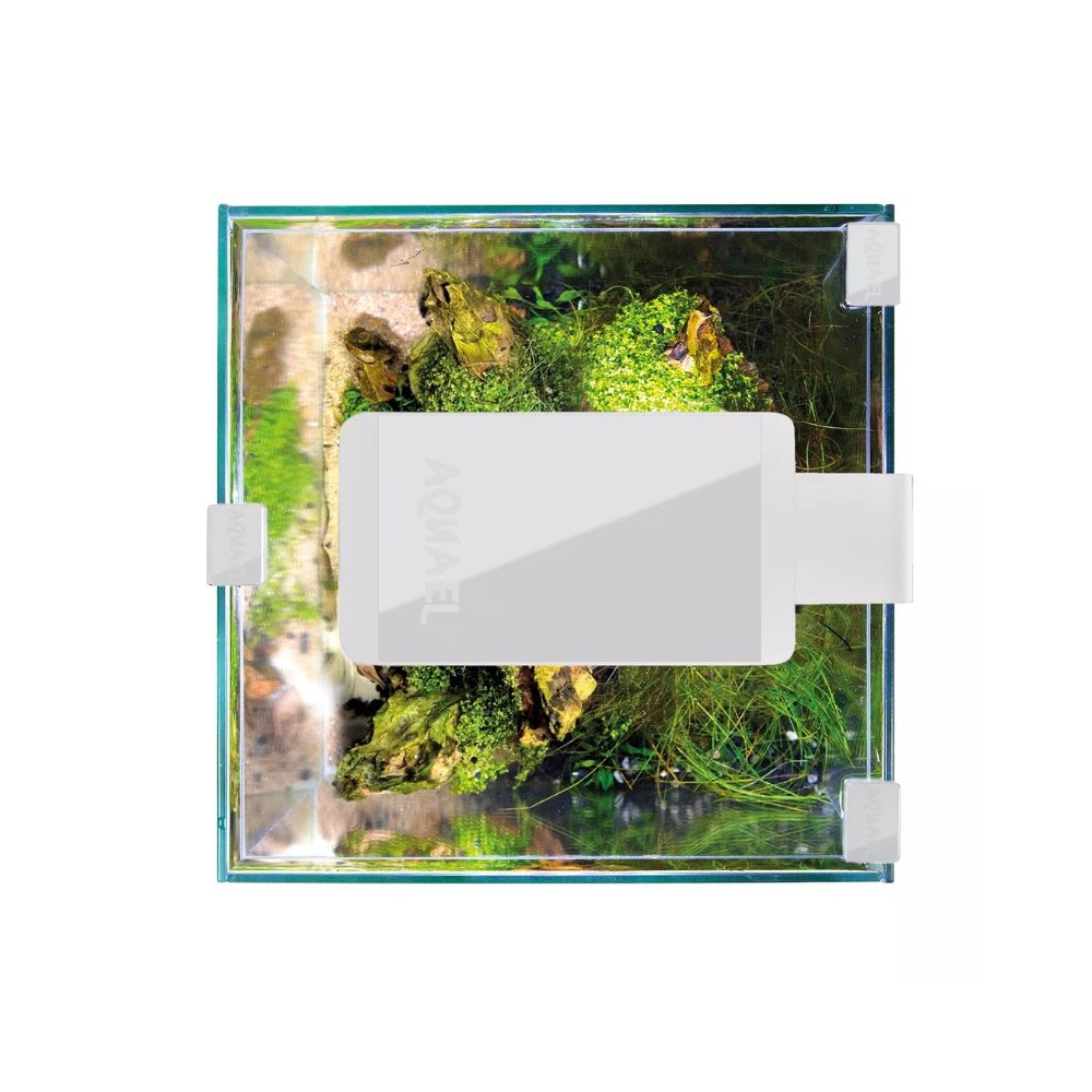 Leddy Smart 4,8 W Plant šviestuvas (baltas) - Image 3