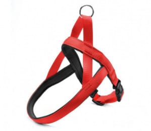 Medžiaginės raudonos petnešos 2x43-50cm