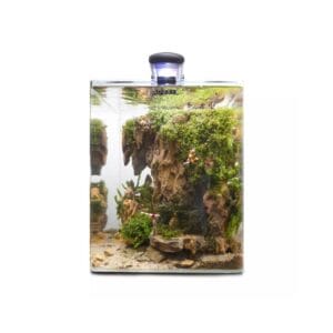Opti Bent 30 akvariumas stačiakampis