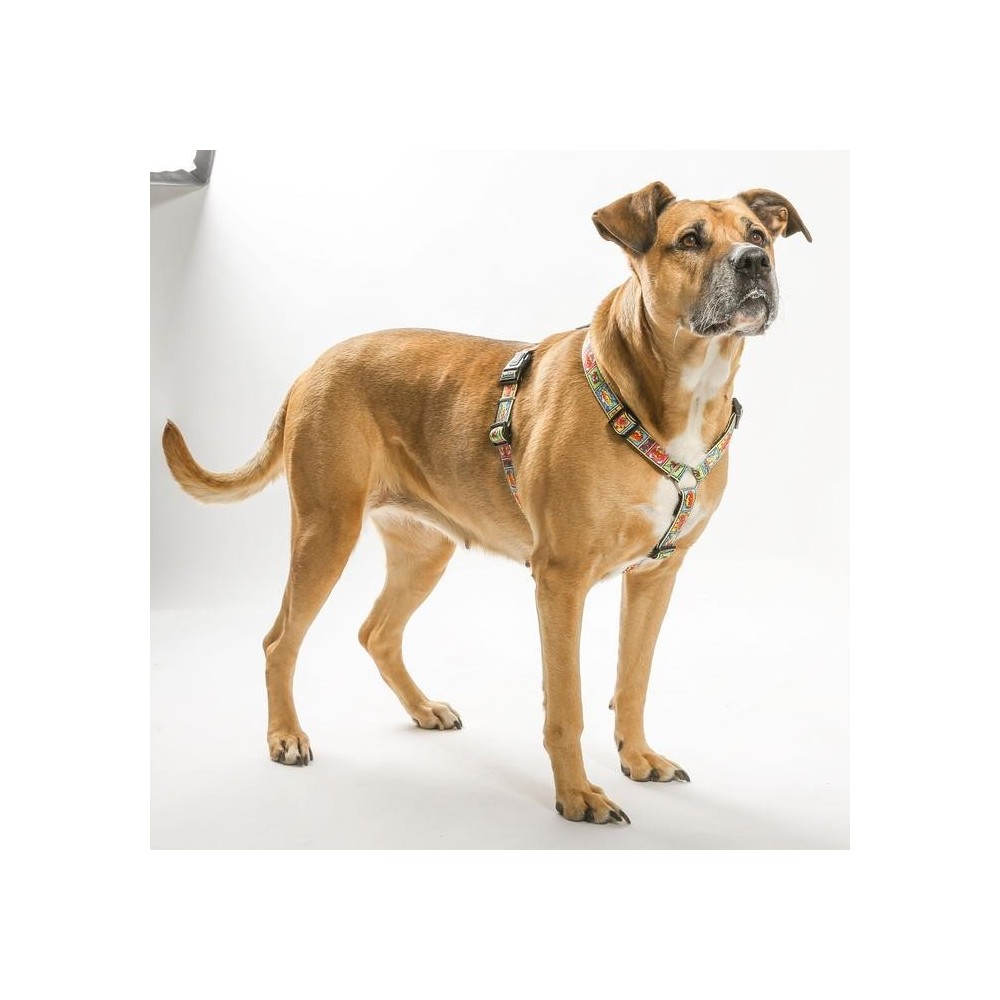 Petnešos Ruler S - Image 2