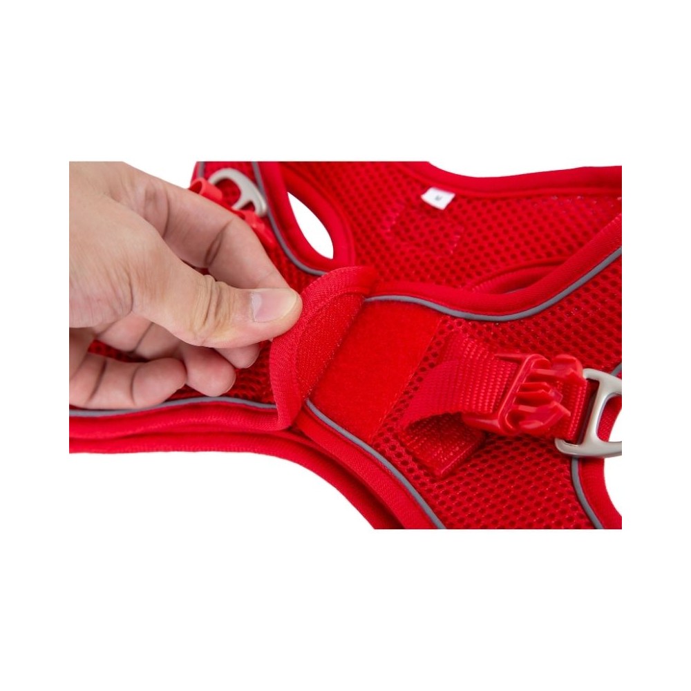 Petnešos Soft, juodos, XS, 20-35 cm - Image 8