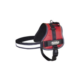 Petnešos šunims Seguro