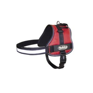 Petnešos šunims Seguro