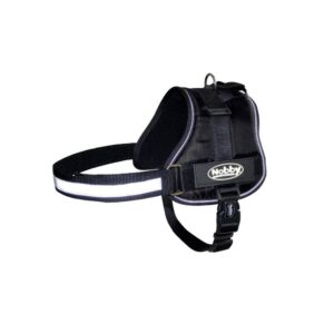 Petnešos šunims Seguro