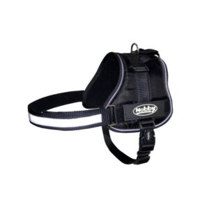 Petnešos šunims Seguro