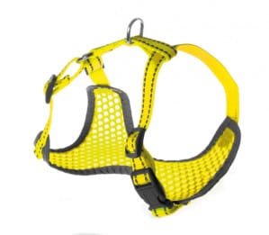 Petnešos Pettorine 36-45x38-52cm