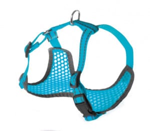 Petnešos Pettorine 42-50x47-65cm