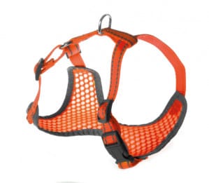 Petnešos Pettorine 32-40x32-45cm