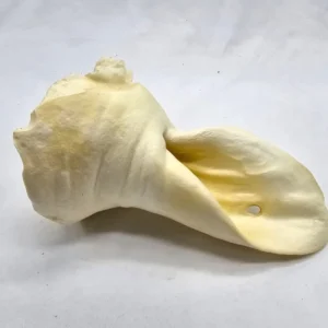 Real Dog jaučio ausys baltos 5vnt.