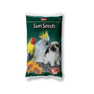 Saulėgrąžos paukščiams
