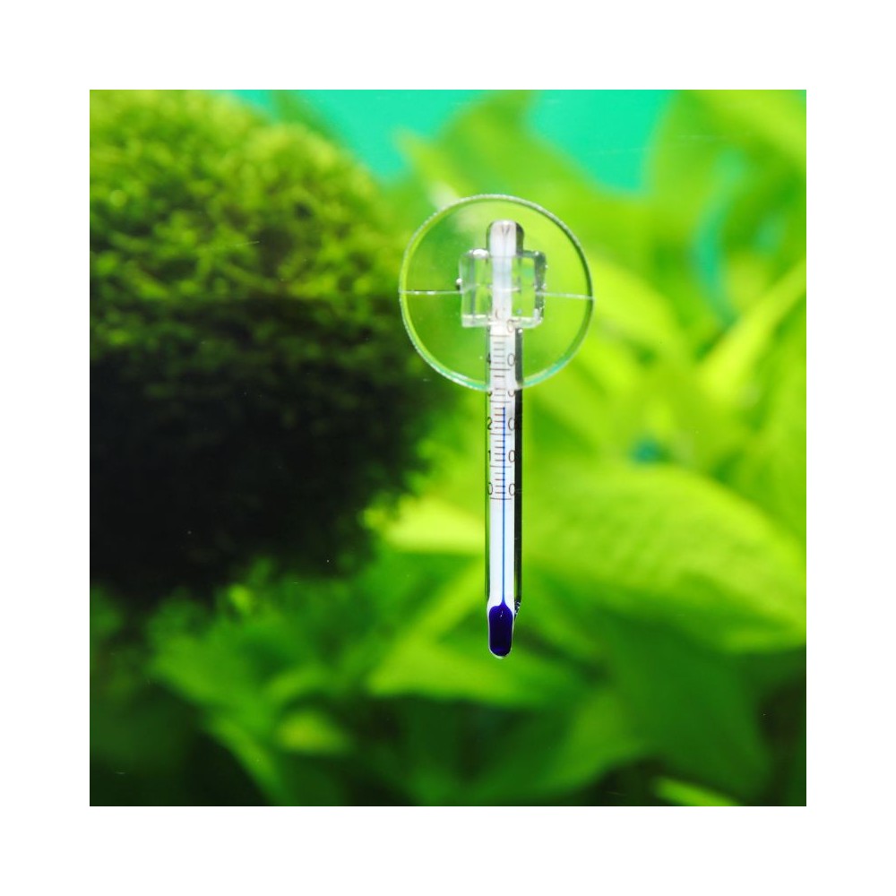 Stiklinis termometras Mini - Image 2