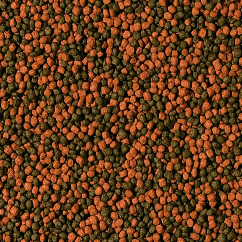 Tropical Cichlid Omnivore Small Pellet maistas ciklidams 250 ml - Image 2