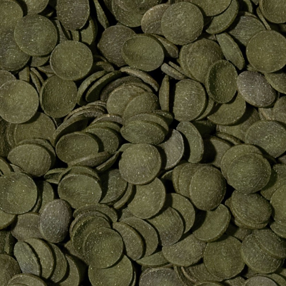 Tropical Green Algae Wafers pašaras dugninėms žuvims 100 ml - Image 2